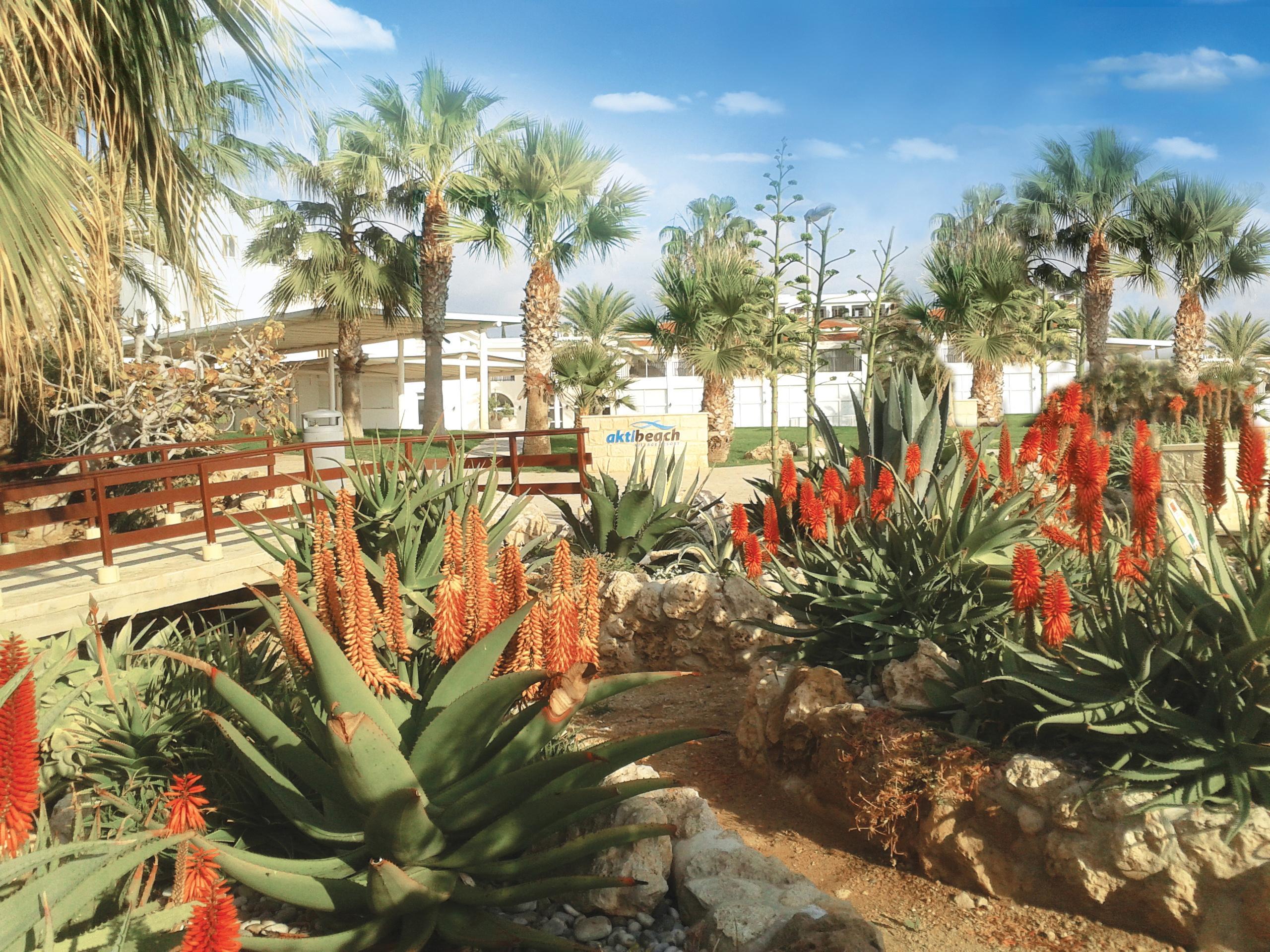 Akti Beach Hotel & Village Resort Klorakas Luaran gambar
